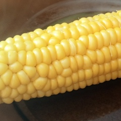 Олег Котов, 10.01.1990