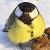 Александр Дымнов, 15.10.1982, Курган