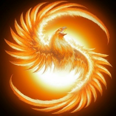 Роман Сапин, 02.05, Москва