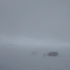 Юлия Сафронова, Санкт-Петербург