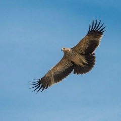 Нурлан Амангельды, 07.01