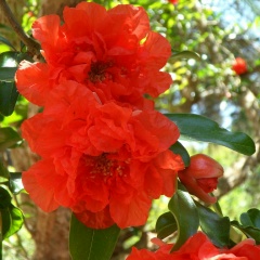 Мария Царёва, 26.08.1991, Рязань