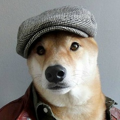 Алексей Шариков, 01.01.1901, Санкт-Петербург