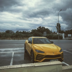 Никита Бурцев, 10.12