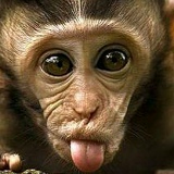 Федул Неуёмнов, 01.01.2008, Новосибирск