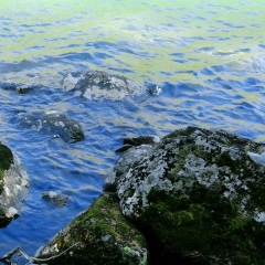 Сергей Крашенинников, 05.09.1986, Москва