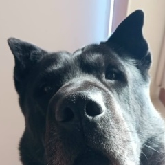 Андрей Семерков, 30.07.1985, Оренбург