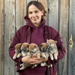 Юлия Падалка, 12.07.1991, Тюмень