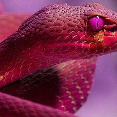 Наташа Подгорная, 25.07.1977, Сыктывкар