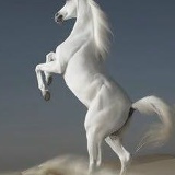 Армат Амиров, 12.05, Атырау