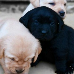 Алина Максова, 14.03