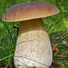 Владимир Матвеев, 19.09, Москва