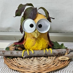 Анастасия Журавлёва, 26.05.1988, Усть-Каменогорск