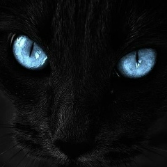 Николай Тагиров, 01.05, Москва