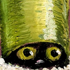 Илья Никитин, 13.08, Санкт-Петербург