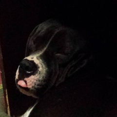 Миша Маринов, 03.08, Тирасполь