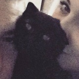 Макс Николаев, 15.06, Сызрань