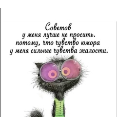 Фатима Шибзухова-Экашаева, 29.02, Нальчик