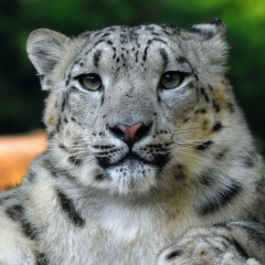 Саят Капезов, 29.12.1996, Усть-Каменогорск