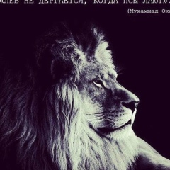 Aliya Ismailovna, 04.01, Москва