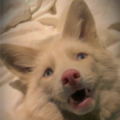 Александр Панкратов, 04.11, Саранск