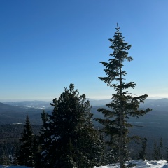 Алексей Калустов, Москва