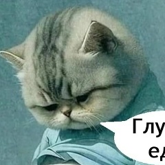 Дмитрий Мунтян, 02.12, Павловский Посад