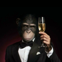 Айбек Бек, 02.02, Бишкек