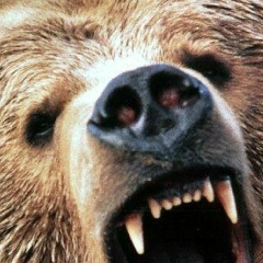 Олег Зайцев, 04.01.1990, Рыбинск