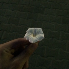 Ильгиз Анаркулов, 24.02