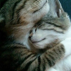 Машуня Кордюкова, 24.09, Санкт-Петербург