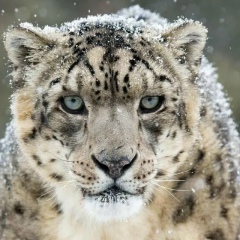 Александр Борисов, 18.01, Пермь