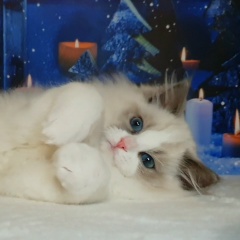 Юлия Барсукова Ути Пути, 10.05, Москва