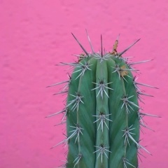 Даня Рублевский, 20.07, Москва