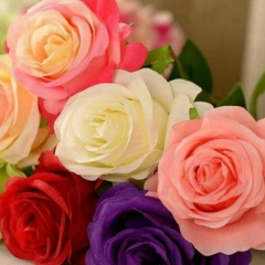 Айнура Жамалова, 30.11