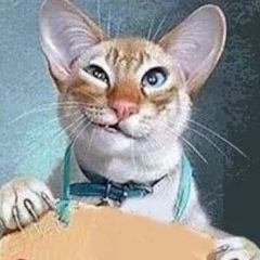 Татьяна Евтух, 22.05