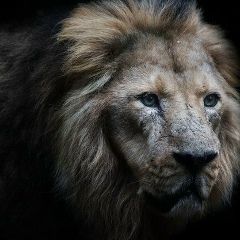 Самат Есенжолов, 02.11, Тараз