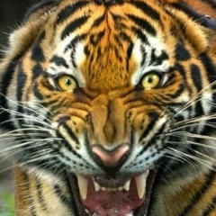 Иван Мещеряков, Магнитогорск