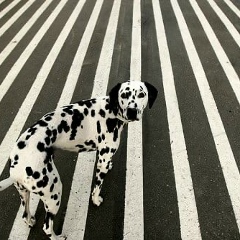 Аня Осипова, 06.05, Санкт-Петербург