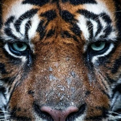 Ilkham Yakubov, 06.01.1990, Актау