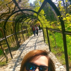 Gaiana Saakian, Тбилиси