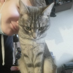 Коля Шонбин, 14.03, Архангельск