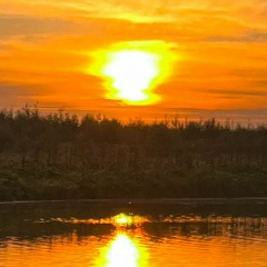 Эльдар Дамиров, 19.07