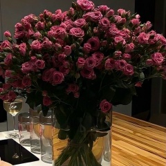 Saltanat Kabdullina, 23.11.1994, Кокшетау