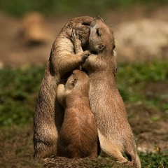 Ирина Минчева, 28.06