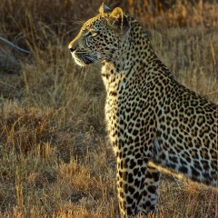 Юлия Ощепкова, 20.01, Москва