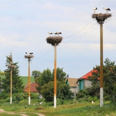 Айгуль Шурипова, 26.11.1978, Актобе