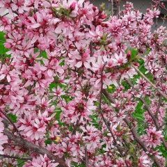 Екатерина А, Омск