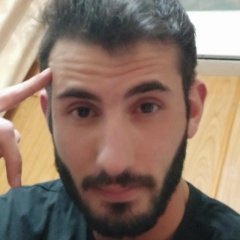 Нарек Григорян, 19.11.1994, Санкт-Петербург