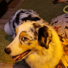 Вера Матросова, 29.03.1983, Москва